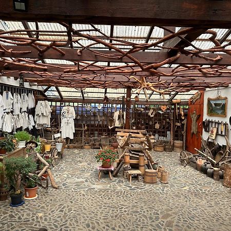 Casa Vlad 호텔 Haţeg 외부 사진