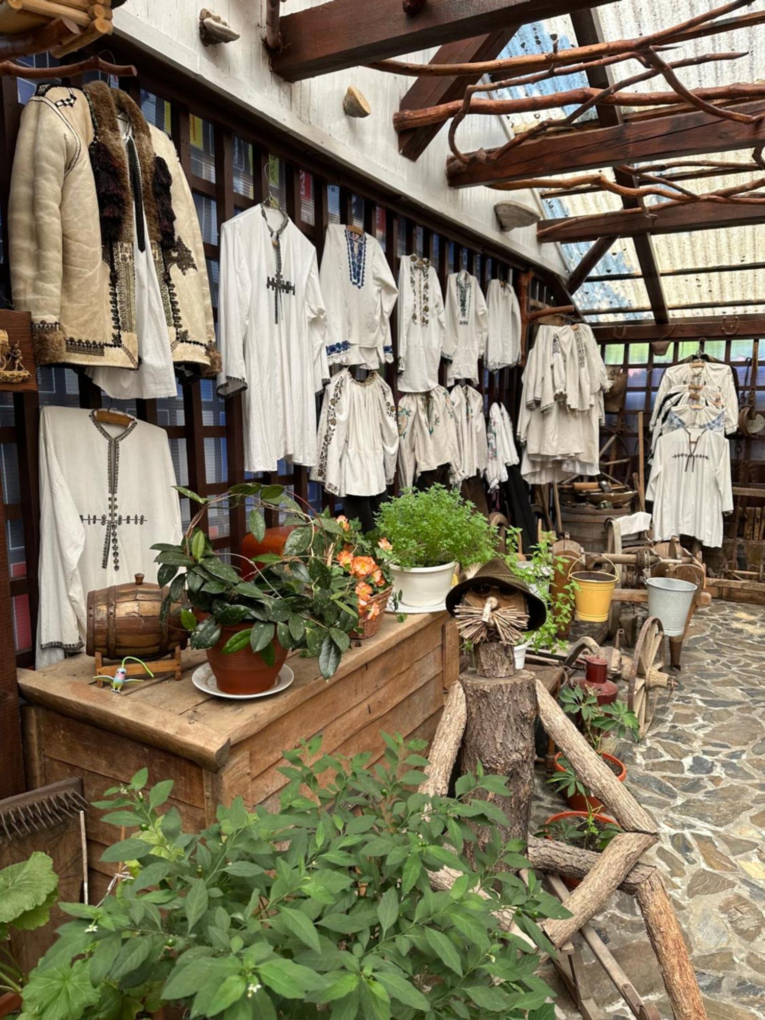 Casa Vlad 호텔 Haţeg 외부 사진